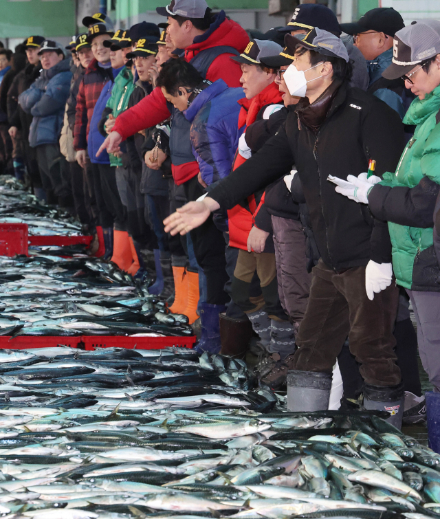 국내 최대 산지 수산물 위판장인 부산공동어시장의 새해 첫 경매가 시작된 지난 1월 2일 오전 중도매인들이 첫 경매를 진행하고 있다. 정종회 기자 jjh@