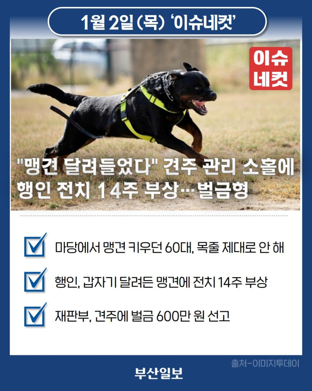 해당 사진은 기사와 직접적인 연관 없음. 이미지투데이