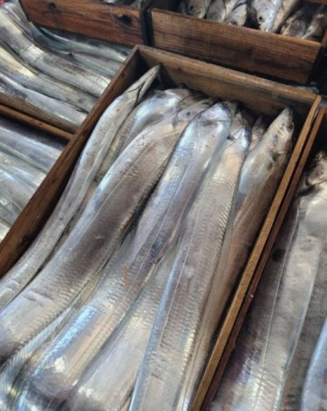 어상자에 담겨진 갈치. 부산일보DB