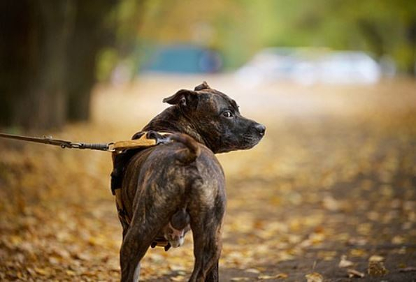 해당 사진은 기사와 직접적인 관련 없음. 이미지투데이
