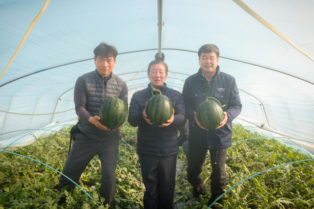 조근제(가운데) 함안군수가 20일 군북면 월촌리 한 농가를 찾아 고품질 겨울수박을 들고 사진을 찍고 있다. 함안군 제공