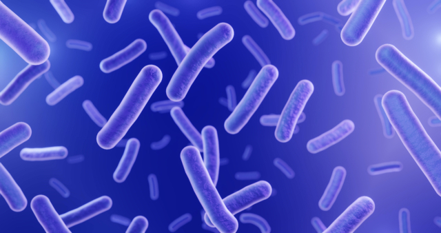항생제에 내성을 가진 이른바 ‘슈퍼세균’에 감염되는 CRE 감염증의 국내 신고 건수가 지난해 4만 건을 넘어섰다.