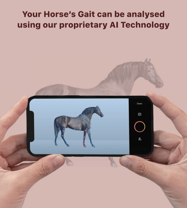 스마트폰 경주마 보행진단 기술, CES 혁신상 수상...이상징후 조기발견 - 뉴스 썸네일 이미지