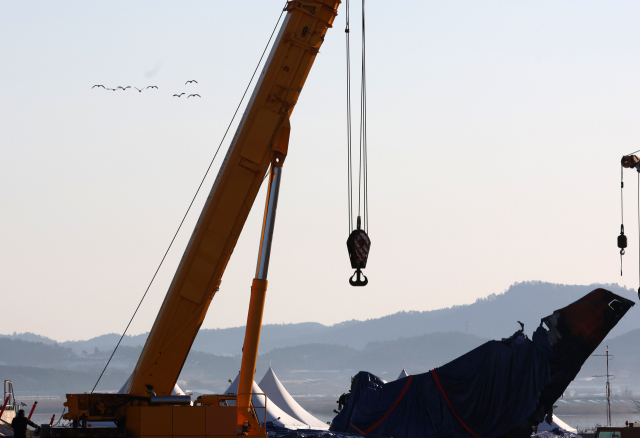 지난 8일 오전 전남 무안군 무안국제공항 제주항공 여객기 참사 현장 상공에 새 떼가 날고 있다. 연합뉴스