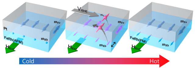 그림. 철(Fe)과 로듐(Rh)의 합금인 FeRh에서 발생하는 양자적 스핀 펌핑. FeRh은 온도를 올리면 자기적인 성질이 바뀌는 상변화가 일어난다. 상온에서는 반강자성체(antiferromagnet)로서 Fe 원자들(mFe)의 자화가 이웃한 자화와 반대로 정렬되고, Rh의 경우(mRh) 자화를 가지지 않는다. 그러나 온도를 올리면, Rh 원자들이 유한한 자화를 갖게 되면서 Fe와 Rh의 자화가 모두 같은 방향으로 정렬되어, 강자성체(ferromagnet)가 된다. 이러한 자기 상전이가 발생하는 순간 FeRh에서 스핀 전류가 생성되며, 이 스핀은 이웃한 비자성체(여기서는 백금, Pt)로 펌핑된다. 이경진 교수(KAIST), 김갑진 교수(KAIST), 정명화 교수(서강대) 제공