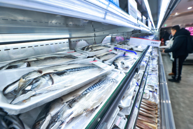 재난 9일 서울의 한 대형마트에서 장을 보는 시민들. 연합뉴스