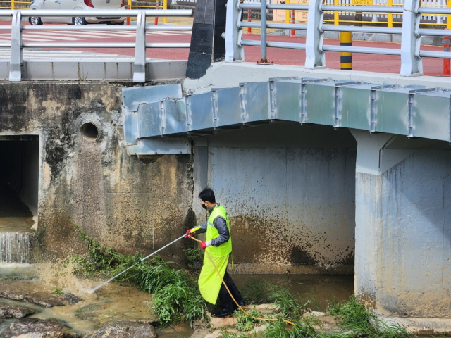 창원보건소 관계자가 창원 도심 내 하천에서 유충구제 방역을 벌이고 있다. 창원시 제공