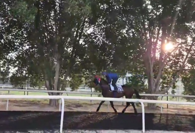 두바이 현지에서 연습 중인 글로벌히트와 김혜선 기수. 한국마사회 제공