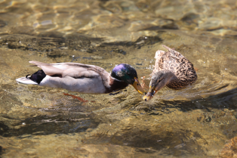 3·1절 연휴 내내 부울경 봄비…낮 최고기온 올라 따뜻