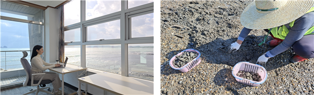 3월 이달의 어촌 여행지로 제주 서귀포 사계마을과 인천 옹진 모도리마을이 선정됐다. 사진은 제주 사계마을 워케이션(왼쪽), 인천 모도리마을 갯벌체험. 해수부 제공