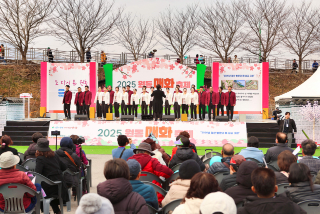지난 1일 원동면 주말장터 일대에서 열린 매화축제 개막식에 관광객 등 많은 방문객이 찾아 즐기고 있다. 양산시 제공