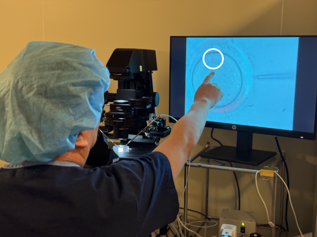 좋은문화병원 난임센터 민성훈 박사가 편광현미경을 이용해 난자 내 방추사를 확인하고 있다. 좋은문화병원 제공