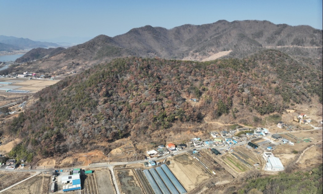 경남 김해시가 다음 달부터 한림면 금곡리 일대에서 소나무재선충병 수종 전환 방제 작업을 벌인다. 사진은 사업 대상지. 김해시 제공