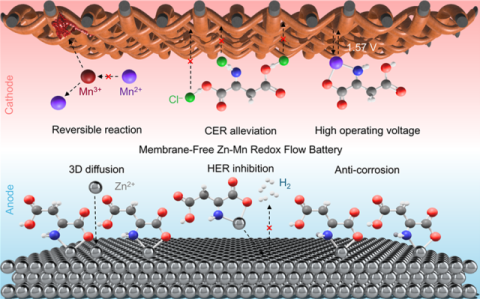 멤브레인(이온교환막)이 없는 아연-망간 레독스 흐름 전지용 아미노산 첨가제의 역할