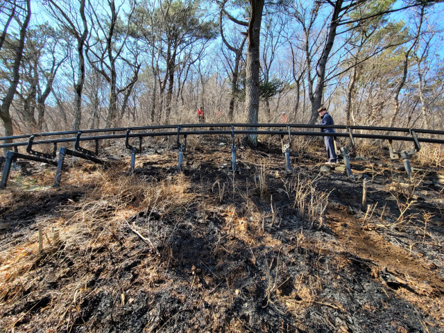 9일 오전 11시 30분께 거제 관광모노레일 1300ｍ 지점 선로에서 불이 나 차량 운행이 전면 중단됐다. 거제소방서 제공