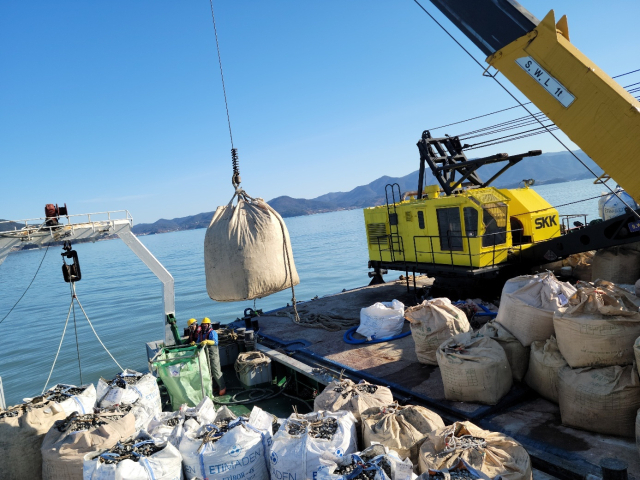 남해군 강진만 1구역 폐기물 처리 모습. 남해군 제공