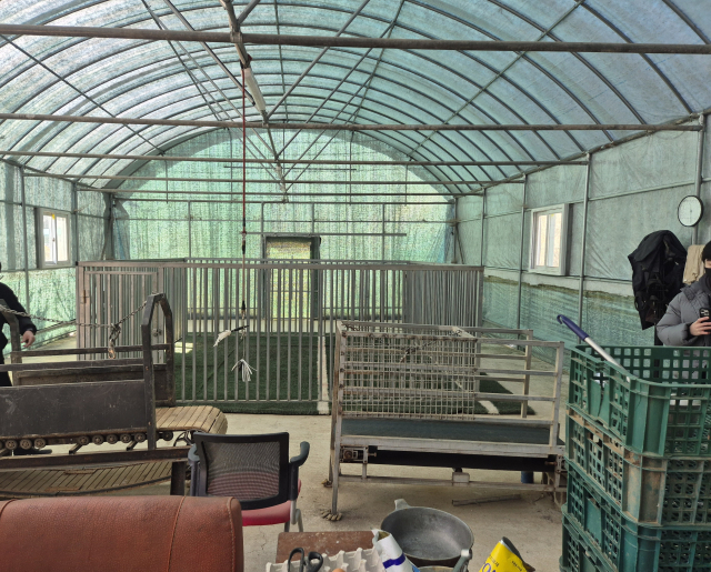 지난달 진주시에서 확인된 불법 투견 훈련장 모습. 투견 등에 사용되는 사각링이 만들어져 있다. 진주시 제공