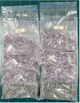 건강기능식품 용기에 숨겨져 있던 엑스터시. 부산지방검찰청 제공