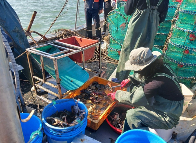 ‘2024년 인천 귀어귀촌 인턴십 지원사업’ 현장. 어촌어항공단 제공