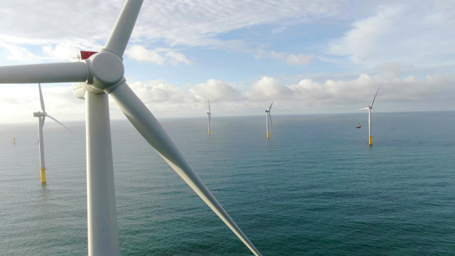 대만 최초의 상업용 해상풍력 발전소인 포모사(Formosa)1 해상풍력. 부산일보DB