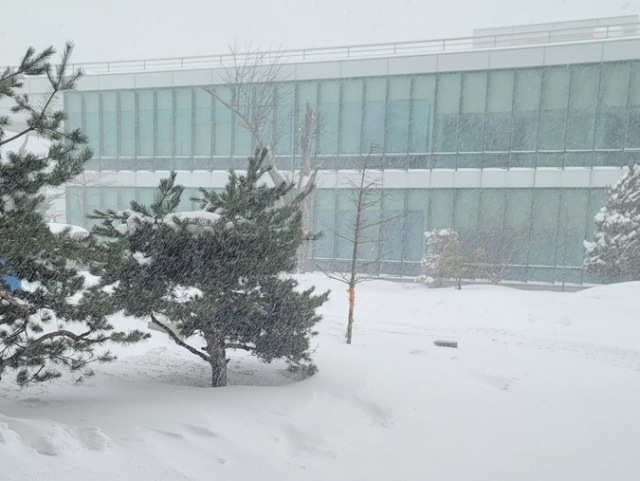 눈 내린 강원대 도계 캠퍼스. 연합뉴스