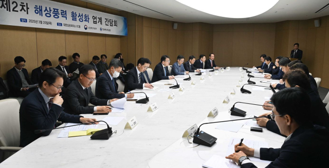 최남호 산업통상자원부 2차관은 20일 오후 서울 중구 대한상공회의소에서 ‘제2차 해상풍력 활성화 업계 간담회’를 주재하고 ‘공공주도형 해상풍력 입찰 추진방안’을 발표했다. 산업부 제공