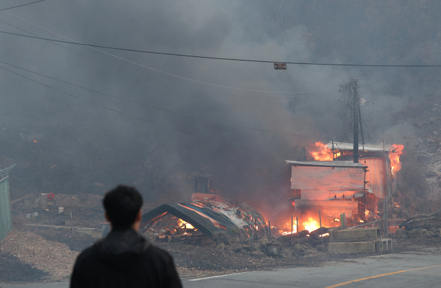 22일 경북 의성군 안평면 괴산리에서 발생한 산불이 급격하게 확산하는 가운데 한 주민이 산불이 옮겨붙은 농막을 지켜보고 있다. 연합뉴스