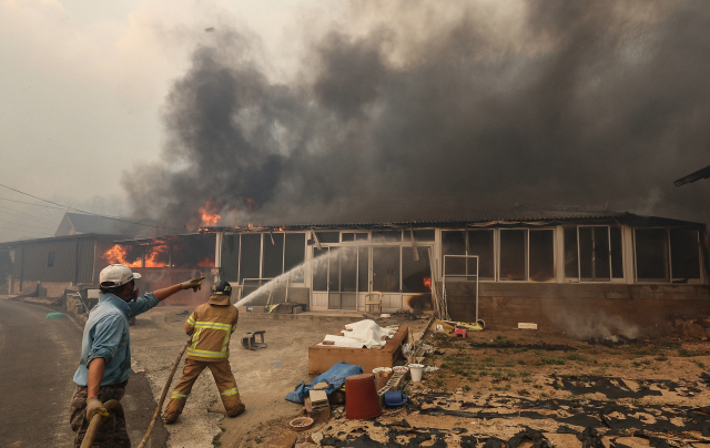 경북 의성군 산불 발생 나흘째인 25일 의성군 단촌면 하화1리에 산불 불씨로 인한 화재가 발생한 가운데 소방대원이 불을 끄고 있다. 연합뉴스