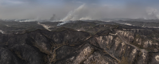 25일 나흘째를 맞은 경북 의성군 산불이 의성군 산림을 초토화시키고 인근 안동시 쪽으로 번져 나가고 있다. 연합뉴스