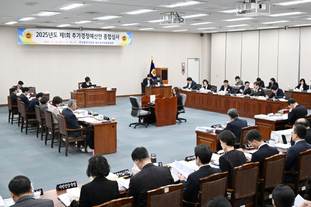 부산시의회 예산결산특별위원회가 25일 부산시 2025년도 제1회 추가경정예산안에 대해 종합심사하고 있다. 부산시의회 제공