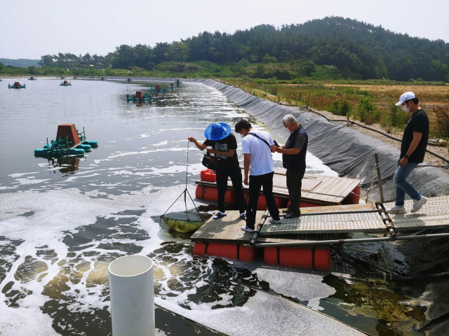 노지 양식장 모습. 부산일보DB