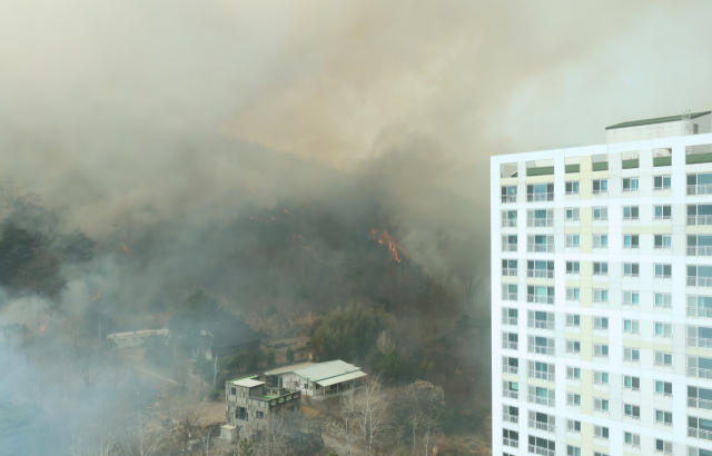25일 울산시 울주군 언양읍에서 난 산불로 일대가 자욱한 연기에 뒤덮여 있다. 연합뉴스
