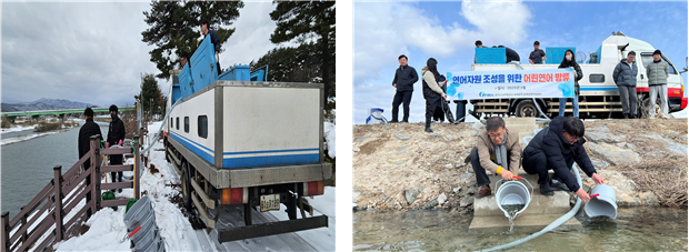 어린연어 방류 모습(왼쪽부터 북천 방류, 연곡천 방류). 수산자원공단 제공