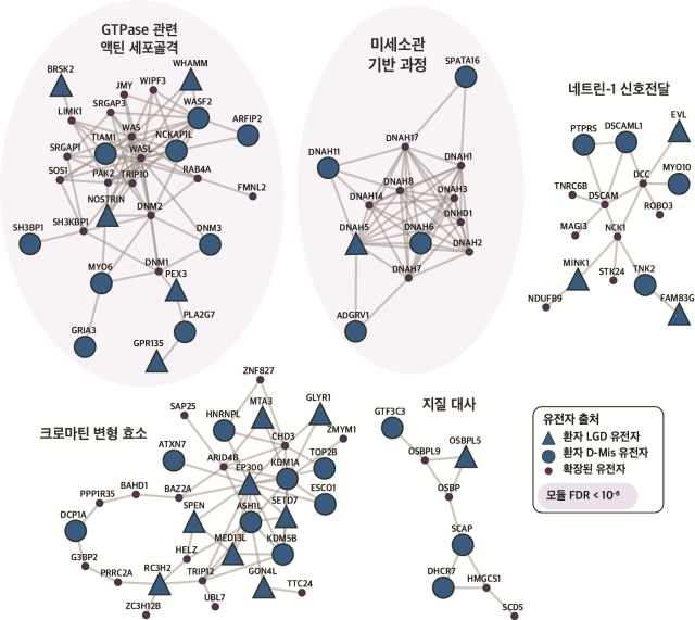 (그림) 척수수막류 관련 유전자 및 생물학적 기능 네트워크. 척수수막류 환자 851명으로부터 도출한 질병 관련 유전자 및 생물학적 기능 네트워크. 특히, 질병 발병에 연보라색 바탕의 ‘GTPase 관련 액틴 세포골격’과 ‘미세소관 기반 과정’ 이 큰 역할을 미칠 것이라고 발표함. 연세대 의생명시스템정보학교실 김상우 교수 제공