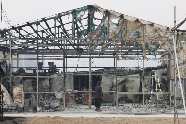 27일 경북 안동시 임하면. 한 농민이 불에 탄 육묘장을 바라보는 모습. 연합뉴스