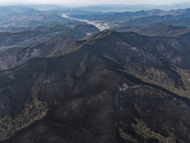 28일 경북 의성군 산림이 산불에 초토화된 모습을 보이고 있다. 산림청은 이날 일주일간 이어진 경북 산불의 주불 진화 완료를 선언했다. 연합뉴스