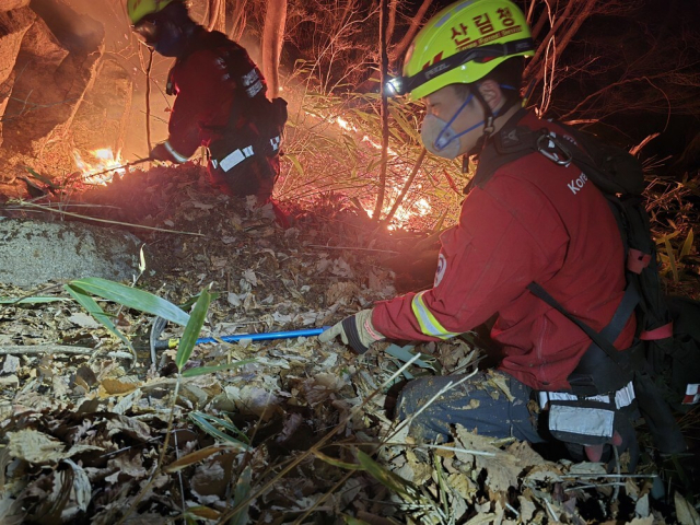 산불진화대가 깊숙이 쌓인 낙엽을 뚫고 산불 진화에 집중하고 있다. 산림청 제공
