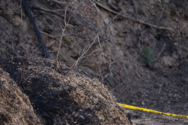 29일 경북산불 최초 발화 추정 지점인 의성군 괴산리 야산 묘지가 불에 타면서 검게 변해 있다. 연합뉴스
