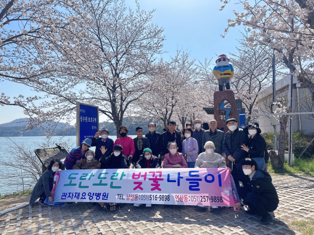 매년 4월 회동수원지를 찾아가는 ‘벚꽃 나들이’ 장면. 연산관자재요양병원 제공