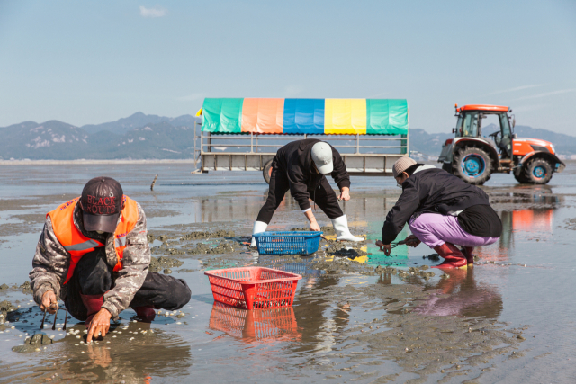 4월 이달의 어촌 여행지로 선정된 전북 고창 장호마을. 해수부 제공