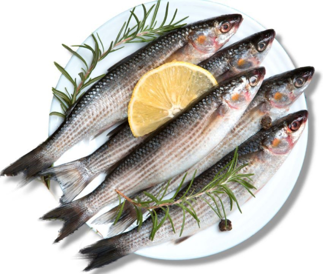 4월 이달의 수산물로 선정된 숭어. 해수부 제공