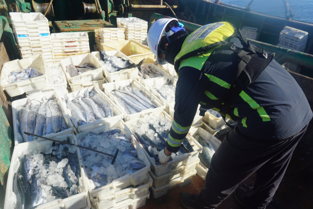 중국어선 어획물 점검 현장. 해수부 제공