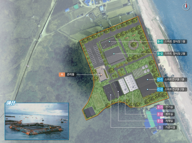 울진군 방어 스마트양식장 조감도. 현재 방어양식은 어업을 통해 잡히는 치어를 가두리 양식장에서 축양해 출하하고 있으나 스마트양식장 사업을 통해 육상(치어 생산 및 냉수대 시기) 및 해상(성어)에서 양식을 추진한다. 해수부 제공