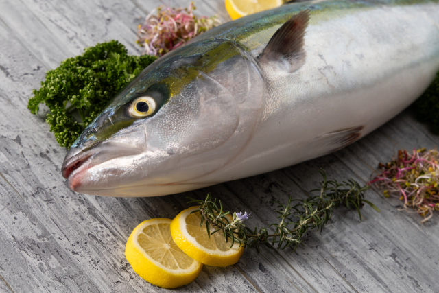 겨울철 제철·별미 수산물로 꼽히는 방어. 수협 제공