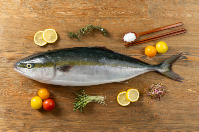 겨울철 제철·별미 수산물로 꼽히는 방어. 수협 제공