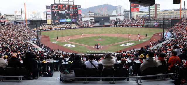 롯데 자이언츠의 윤동희가 2일 대전 한화생명 볼파크에서 열린 한화전에서 새로운 홈 구장의 명물인 ‘몬스터 월’을 최초로 넘겨 홈런을 기록했다. 사진은 8m높이의 ‘몬스터 월’. 연합뉴스