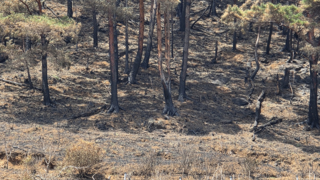 장마철이 다가옴에 따라 산사태 우려가 더욱 커지고 있지만 당장 대책을 세우기가 쉽지 않은 상황이다. 김현우 기자