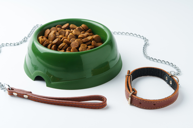 해당 사진은 기사와 직접적인 연관 없음. 이미지투데이