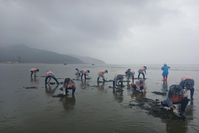 ‘2025년 인천 도시민 어촌어업 체험프로그램’ 1차 사진. 어촌어항공단 제공