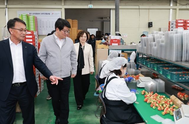 4월 8일 진주수곡농협 산지유통센터를 방문한 권재한 농촌진흥청장(왼쪽에서 두번째)은 국립원예특작과학원이 개발한 수출 딸기 신선도 유지 기술 적용 현장을 점검하고, 기술 고도화에 따른 현장 목소리와 개선 방향을 논의했다. 농촌진흥청 제공